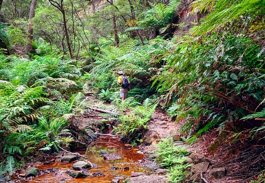 unbenannte Fotosession 20131222 1087